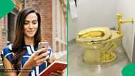 Gold toilet worth around R111 828 000 stolen out of Blenheim Palace, Mzansi cracks hilarious jokes