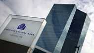 ECB slows rate hikes, but says inflation still 'too high'