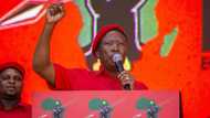 Julius Malema wants to unite Africa through PAN African presidency rotation