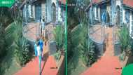 "The alarm don't scare them": SA fumes after CCTV catches attempted midday break-in in Pretoria