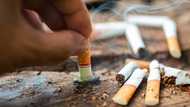 Smokers up to 80% more likely to get severe COVID complications, says UK study