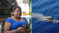 Uninvited guest: crocodile swims into Richards Bay harbour, TikTok video has South Africans puzzled