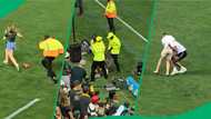 "Klipdrift": SA hooligans cause spectacular chaos on field at rugby, locals cackle over buffoonery