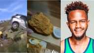 Weekly wrap: Angry farmer's revenge, fried chicken nightmare and the cost to book an artist