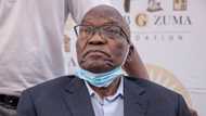 Former President Jacob Zuma said to be too sick to attend arms deal corruption trial