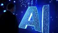 'AI' named Collins Word of the Year