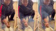 Lady skilfully cooks pap over an open fire in video, impresses peeps with effortless motion: "She is good"
