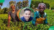 Adapting to climate change, securing SA’s food future