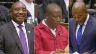 Brilliant edit of Cyril Ramaphosa, Julius Malema and other politicians singing Mariah Carey's Christmas carol, Mzansi in stitches