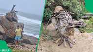 "It will attract many tourists": Mysterious driftwood statues wow Ramsgate beachgoers