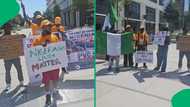 "Why are Nigerians so anti-home?": SA reacts to Nigerians protesting against deportation in Belgium