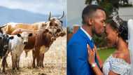 Mzansi debates if education will make lobola amount higher, peeps discuss African tradition