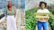 Single mom who started farming business from child support grant awarded R500k