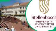 University of Stellenbosch online application 2025/2026: Dates and requirements