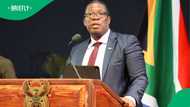 Gauteng Premier removes 3 HODs for failing lifestyle audits, Mzansi thinks they'll be redeployed
