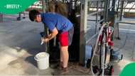 Cornwall teen launches one-cow dairy business after saving for two years to buy Jersey cow Clare