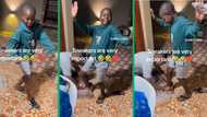 Boy shows off smooth dance moves in appreciation for new Jordan sneakers, melts hearts on TikTok