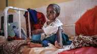 World hunger stops rising but remains elevated: UN