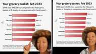 Woolworths is 2nd cheapest shop in SA, beats Shoprite, PnP and Checkers for 9 basics according to a study, Mzansi is in denial