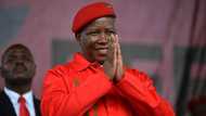 Mzansi man sends Julius Malema an eWallet for his 41st birthday, leaves Juju laughing out loud