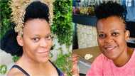 Zodwa Wabantu says she doesn't regret her 4 abortions, star adds that Mzansi peeps have no right to judge her