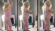 "What a vibe": Mama records kid dancing to Eminem, tot wins instant fans