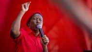 Mzansi reacts to Julius Malema's presser: "Let us not fight science"