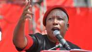 Julius Malema urges young people to get educated and not rely on grants