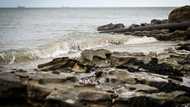 Raw sewage blights once-idyllic beaches on Isle of Wight