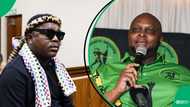 Ngizwe Mchunu advises Floyd Shivambu: "Do not insult Jacob Zuma's kids"