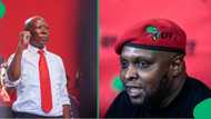 EFF's Floyd Shivambu slammed DA cabinet demands amid negotiations