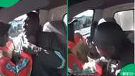 'Suspend them immediately': Mzansi furious after video shows JMPD officers assaulting driver
