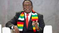 President Emmerson Mnangagwa bio: He introduced new freedoms after Mugabe’s tyranny