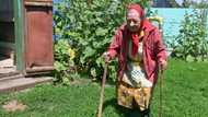 In Ukraine, war raises spectre of devastating Stalin-era famine