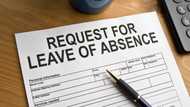 Unpaid leave in South Africa 2022: Everything you ought to know