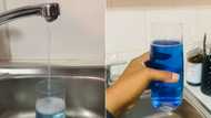 Joburg woman's tap water comes out bright blue, Twitter video leaves SA with questions about Gauteng municipality's water supply