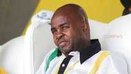 ANC Mpumalanga chairperson Mandla Ndlovu appointed by executive committee as member of provincial legislature