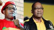 Dali Mpofu represents Jacob Zuma SA says "You can't trust EFF people"