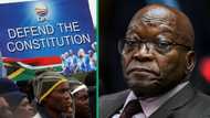 DA calls Jacob Zuma the latest fugitive from justice, seeks clarity on arrest while he is in Russia