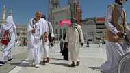 'Unbelievable feeling': Overseas hajj pilgrims rejoice after 2-year Covid absence