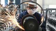'Artificially high' growth predicted for China in Q2: survey