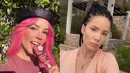 Popular US singer Halsey announces 1st pregnancy: "Surprise"