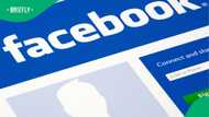 New report highlights Facebook as main hub for illegal wildlife trade, SA flagged