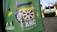 ANC leaders believe traitors from within the party behind Mkhize's death