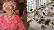 How lady went from re-arranging things in other people's homes to owning a big furniture business