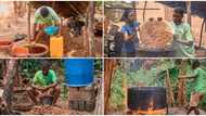 Young student in his 20s inspires many with his hustle as a palm oil producer