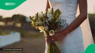 New bride flexes large money bouquet on wedding day in video, South Africa swoons