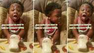 Video of sneaky baby drinking and wasting formula leaves SA laughing, TikTok goes viral