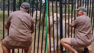 South African man's unbelievable bond with lion goes viral on TikTok, peeps in awe