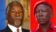 Julius Malema rips into former President Thabo Mbeki over his controversial remarks on Cyril Ramaphosa